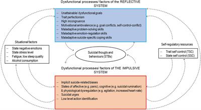 Frontiers | Understanding Suicidal Pathways Through The Lens Of A Dual ...